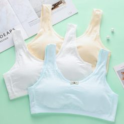 Áo lá học sinh bản dây dày cấp 2, áo ᵰgực học sinh, áo lót học sinh, áo ᵰgực cho học sinh cấp 2, 3 áo bra tuổi dậy thì có đệm lót Nữ